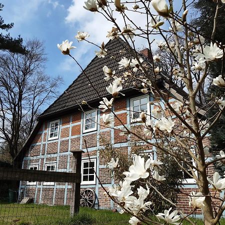 Schoenes Apartment Vor Den Toren Hamburgs - Keine Monteurwohnung Asendorf Bagian luar foto