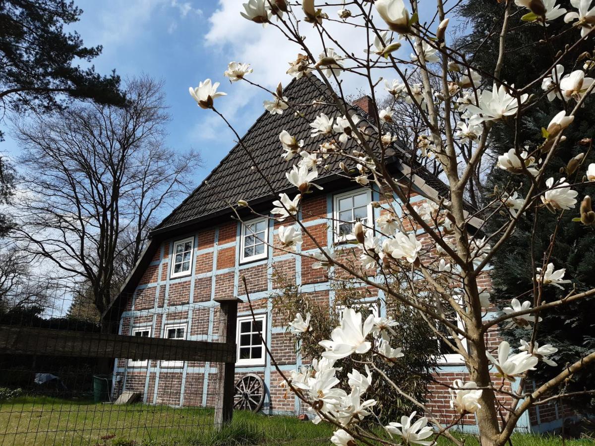 Schoenes Apartment Vor Den Toren Hamburgs - Keine Monteurwohnung Asendorf Bagian luar foto